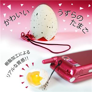 gڂꗎEEI? A { 炽܂Xgbv  1摜R