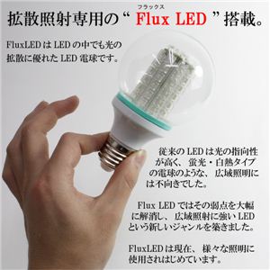 ȃGld E26KiG80TCY FluxLED55d 1_摜R