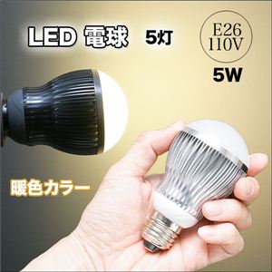 Ŗ邢IȃGlŌoϓIIE26 LEDd 110V 5W F^gF F 1_摜Q