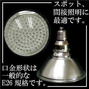 Җ]3Fǉ E-26Ki LED100d 1_ Ή摜2