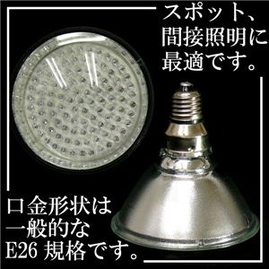 Җ]3Fǉ E-26Ki LED100d 1_ 摜Q
