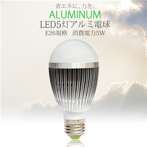 A~{fBłMBSBS LEDA~d E26 5W 1_摜1