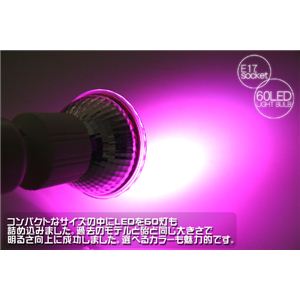 ȃGlEߓd΍ Җ]60 LED60d E-17 4F sN^E17 1_摜2