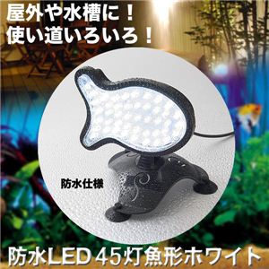 gpShIO hLED45   1_摜S