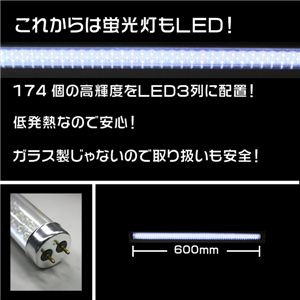 邢IȃGlILED174u zCg^600mm 1_摜R