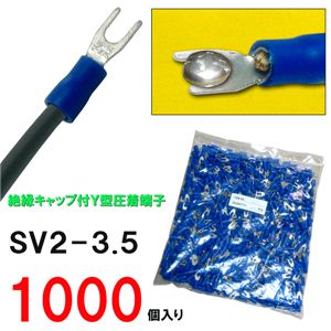≏LbvtIY^[q1000 zEdqipi 1摜Q