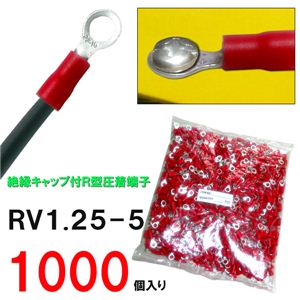≏LbvtIR^[q1000 zEdqipi 1摜Q