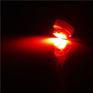 xڌ^LED T5EFbW SMD LED2AVO 4Zbg i΁EԁEEEj 1_摜Q