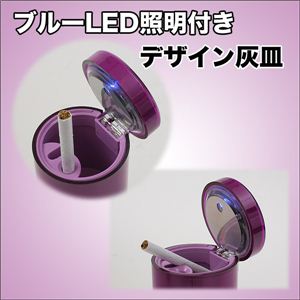 y{pbP[WzԗpDMEPxu[LED_ J[ANZT[ ~XeAXp[v 1_摜R