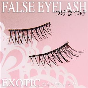 pb`̊II ڌ ܂ ؂꒷eye ZNV[^Cv ̂t 5g 1Zbg i1058j摜Q