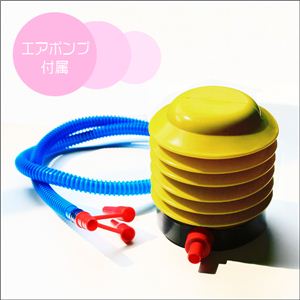 CyɃRAg[jOIoXƂ₷` 芴Q̃h[ic^tBbglX{[ 1_摜S