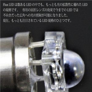 S10s^BA9s SuperFLUXLEDVO2Zbg e[EECJ[v SuperFLUX8A9S  1_摜Q