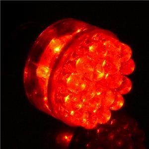 S25s^BA15s LED30AVO2Zbg iEEԁEE΁j  1_摜S