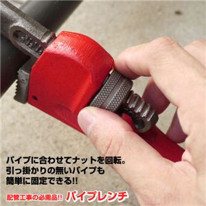 yRCɂzzǍH̕KiIIpCvyXŒ pCv` 10# 1_摜R