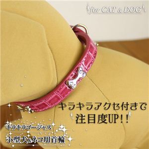 Zu LLS[WXI ^lRp ANZt eFiu[EsNj u[ 1_摜R