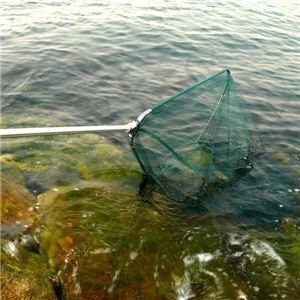 �S���ő��285cm ��E�C�E�D���̏�܂� ����^�T�C�Y ��^������ 1�_�C���[�W��