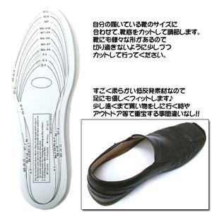 y{pbP[WzII oAEghA m炸 TCY݁IᔽC 1_摜Q