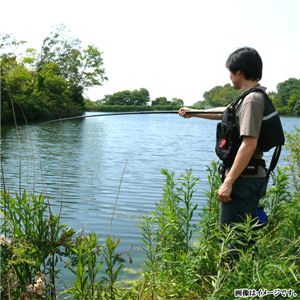 �悭���Ȃ�I���S�҂ł������Ղ��ł��I �́E�r�E�C�� �J�[�{���ފ� �ދ� 480cm �i540�j 1�Z�b�g�C���[�W��