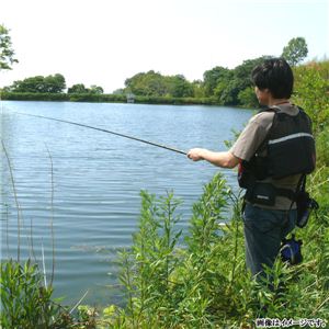 �y�ʁI�����₷���I�L�k���� �́E�r�E�C�� �J�[�{���ފ� �ދ� �ő�340cm �i360�j�^�P�[�X�t 1�Z�b�g�C���[�W��