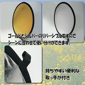 y჌tŎBȂz ^ѕ֗I RpNgt |[`t 1_摜R