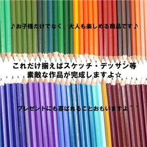yLxȐFʁzhGXPb`Ȃǂ JtF҂100{ gуP[X 1ZbgidFj摜R