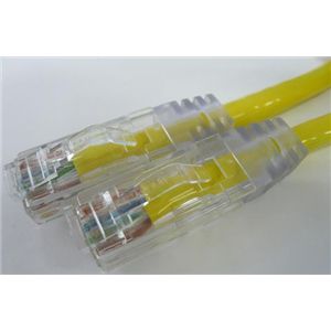 【訳あり・在庫処分】エイム電子 CAT6ケーブル 両端RJ45 単線 ストレート結線 100m (黄) C6S-SO-YL-100