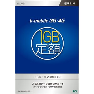 【訳あり・在庫処分】日本通信 bモバイル 3G・4G 1GB定額 有効期間30日＜標準SIM＞ BM-FRML-1GB