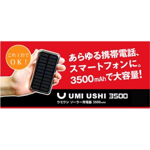 yUMI USHI 3500 E~EV3500 [dzU-SO35-BL 1Zbg摜2