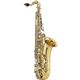 Tenor Sax Color�FGold KTN65�摜�ŏ��P