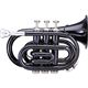 Pocket Trumpet Color�FBK KTR33P�摜�ŏ��P