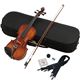 Hallstatt Violin 3�^4Size V28-3�^4�摜�ŏ��P
