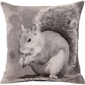 プリントクッション リス柄 正方形 45cm×45cm コットン (綿)入り ［インテリア雑貨］ TTC-106