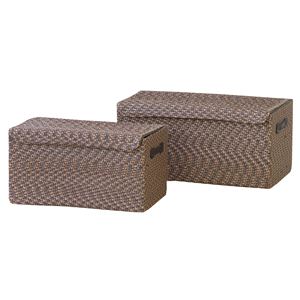蓋付きバスケット2個セット ポリプロピレン FSET-102BR ブラウン