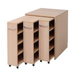 1cmピッチ隙間収納 収納BOX ロータイプ D59.5用 3連セット YHK-0209SET3-NA 〔すきま収納〕