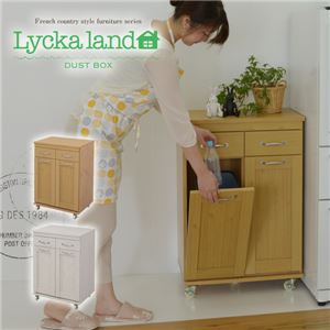 Lycka land ダストボックス FLL-0008-NA ナチュラル