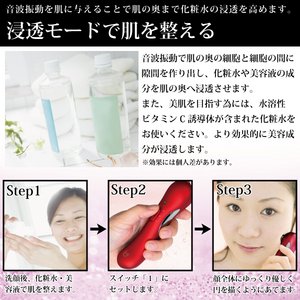 Cґz[GXeyufurlzg isonia iAC\jAj摜R
