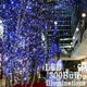 高輝度LEDイルミネーション☆300灯☆省エネ☆長寿命☆経済的◆青 画像最小1