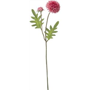 ボールマム*2 P