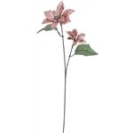 シャイニングポインセチア*2 P