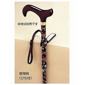 K1500T]΂ʏЂt^Xgbvt̓]|h~摜Q