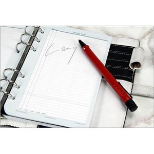LAMY SAFARIi~[ Tt@j{[y L216摜Q
