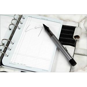 LAMY AL-STARi~[ AX^[j{[y L226摜Q