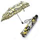 Vera BradleyiFubh[j Umbrella ^b` ܂肽ݎP Au 12292 134 Dogwood摜ŏP