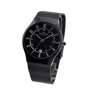 SKAGEN（スカーゲン） 233XLTMB メンズ 腕時計