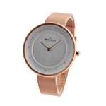 SKAGEN（スカーゲン） SKW2142 レディース 腕時計