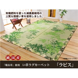 純国産/日本製 袋織 減農薬い草カーペット 『ラピス環良草』 グリーン 江戸間6畳（約261×352cm）