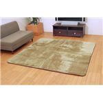 三菱レイヨン ルネス使用カーペット 『シルフィア』 グリーン 200×300cm（吸湿発熱、抗菌防臭、消臭）