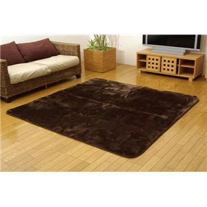 洗える ウォッシャブルラグカーペット 『WSウェンデルNSK』 ブラウン 185×185cm 正方形