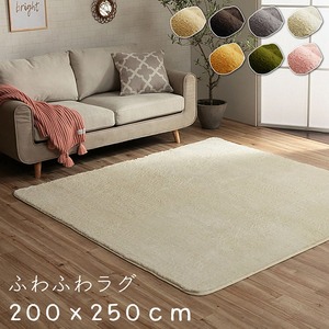 フィラメント素材 ホットカーペットカバー 『フィリップ』 ベージュ 200×250cm