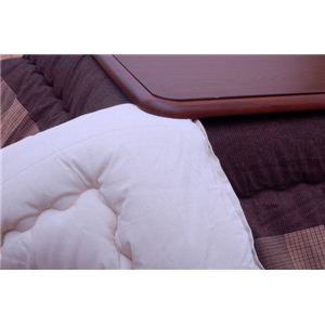 Ch |zcPi wN[hx 205~245cm摜R